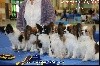 - Résultats et photos du Paris dog Show
