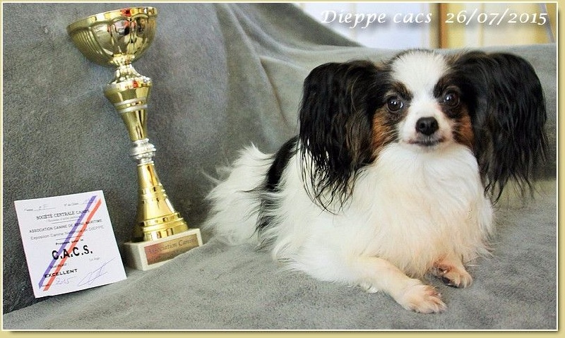 Helsy-belle du Pre Mely de Laureden
