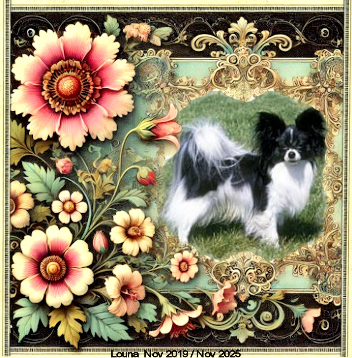 du Pre Mely de Laureden - Louna