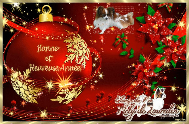 MES MEILLEURS VOEUX 2026