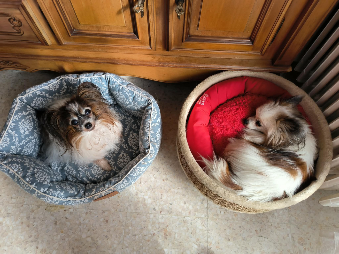 du Pre Mely de Laureden - Mes petits vieux