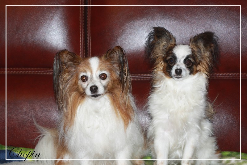 Chopin de La Haute Roome