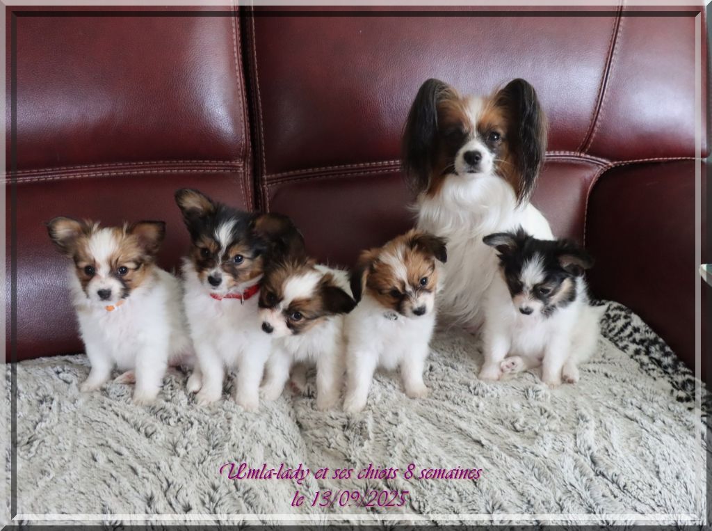 du Pre Mely de Laureden - DEPART DE ANKA ET LOLA